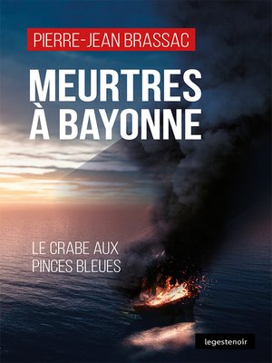 cover image of Meurtres à Bayonne